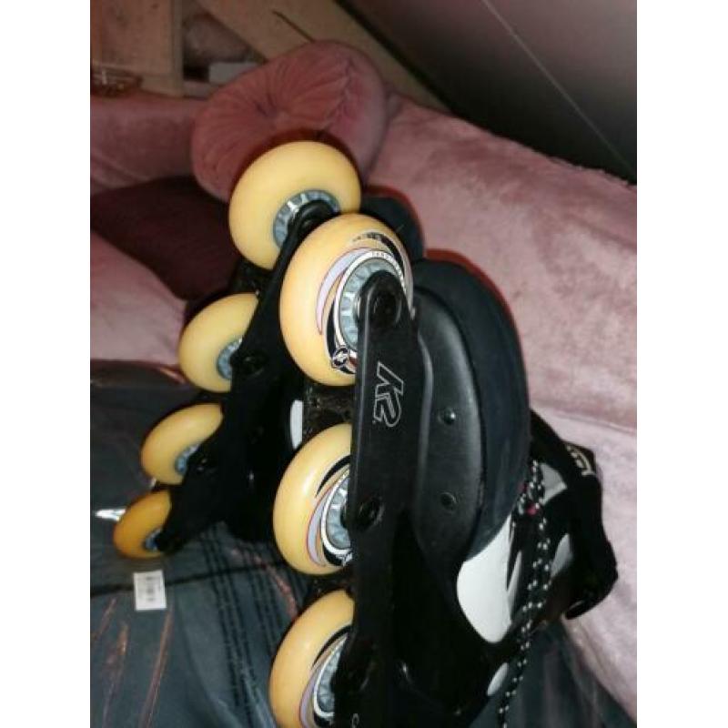 Skeelers 44 k2