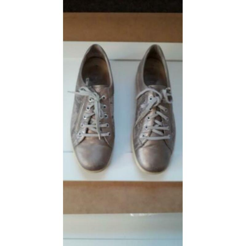 Solidus Kate mt 41 /7,5