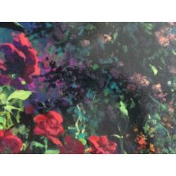 Hand gesigneerde Serigraph van James Coleman " Rose Path"