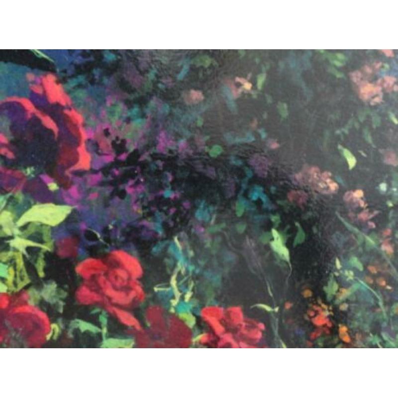 Hand gesigneerde Serigraph van James Coleman " Rose Path"