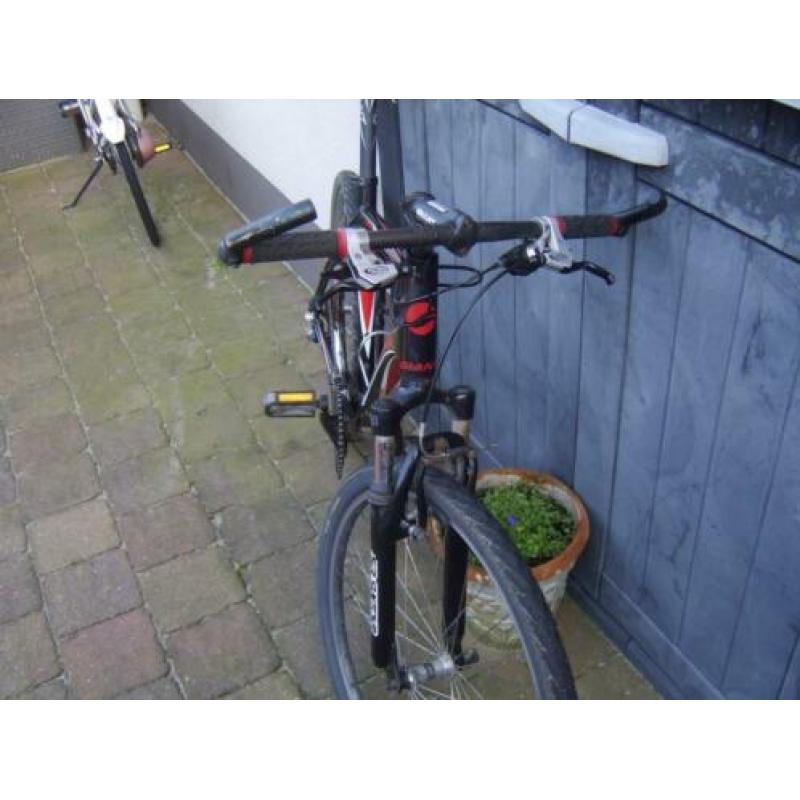 giant mountainbike