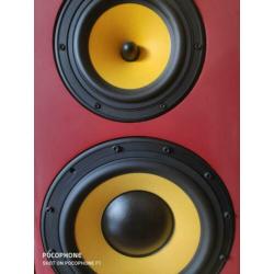 Te koop wegens overcompleet. Roger speakers 7.0