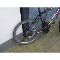 giant mountainbike