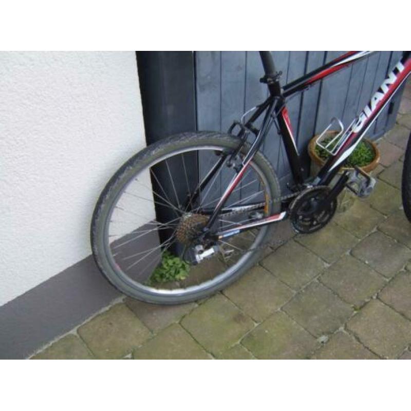 giant mountainbike