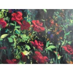 Hand gesigneerde Serigraph van James Coleman " Rose Path"