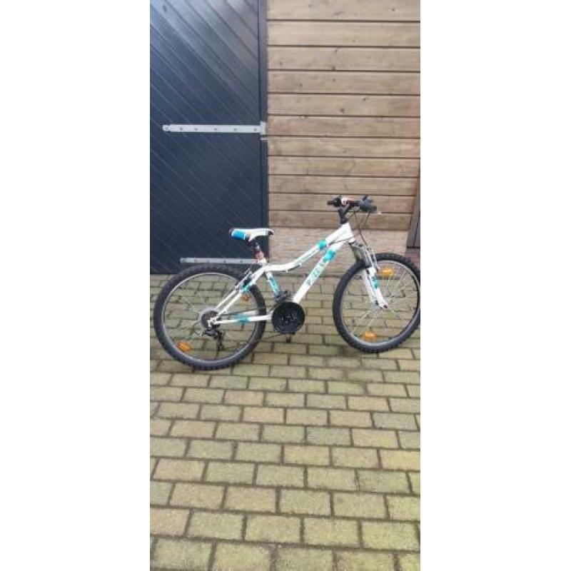 mountainbike Marlin Puzzle 24 inch