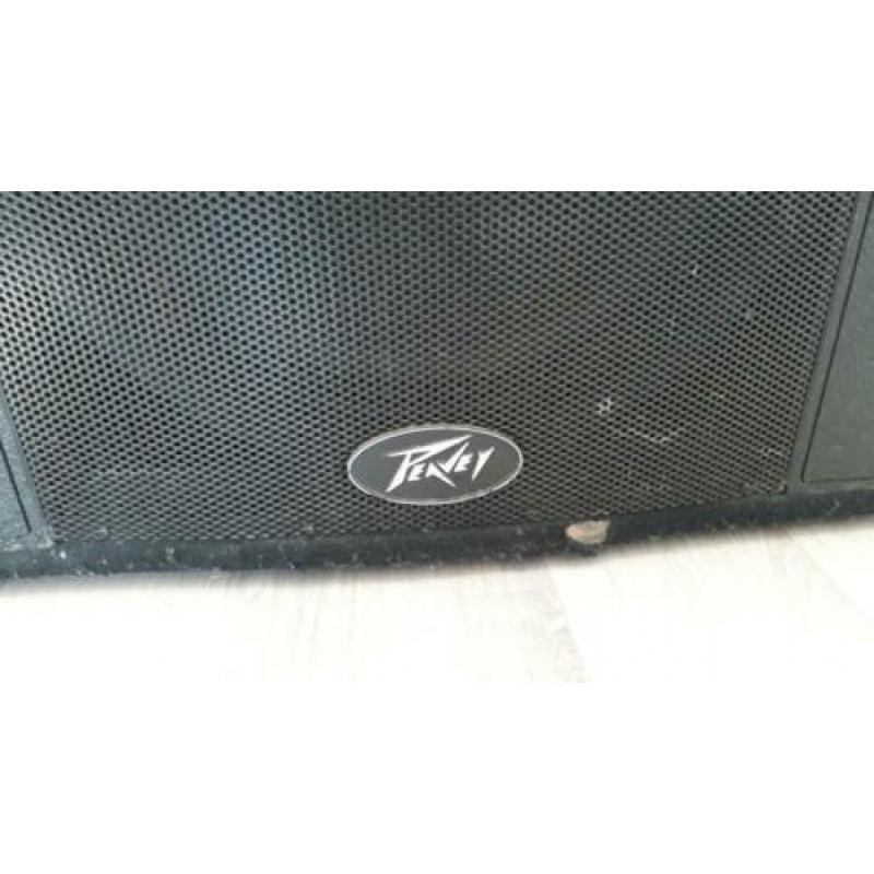 Peavey speakerset