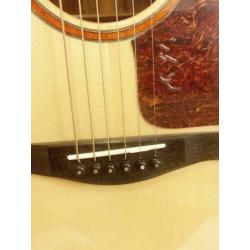 Eastman Grand Concert 508CE
