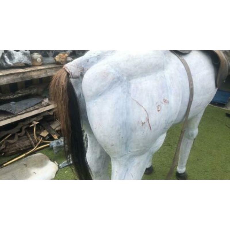 Levensgrote Paard.