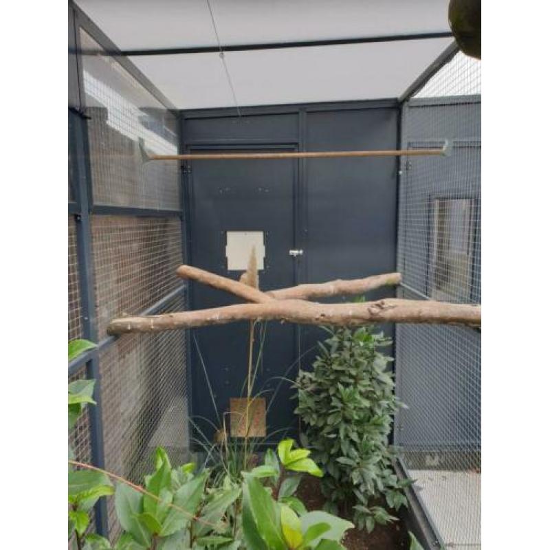 Voliere met binnenhok