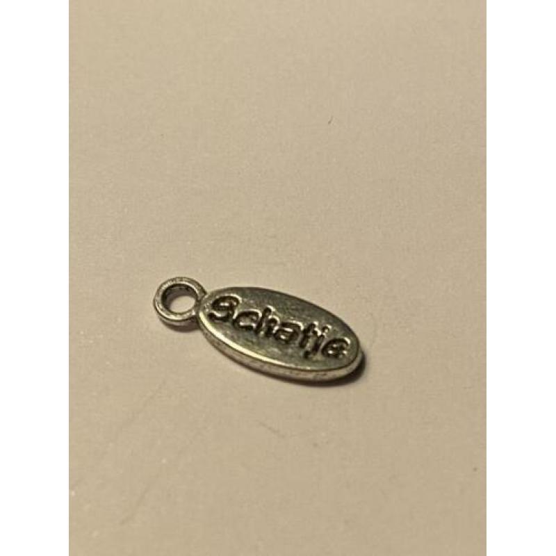 Bedel "succes" 15 x 6 mm . Zilverkleurig. Bedelnr. 0077