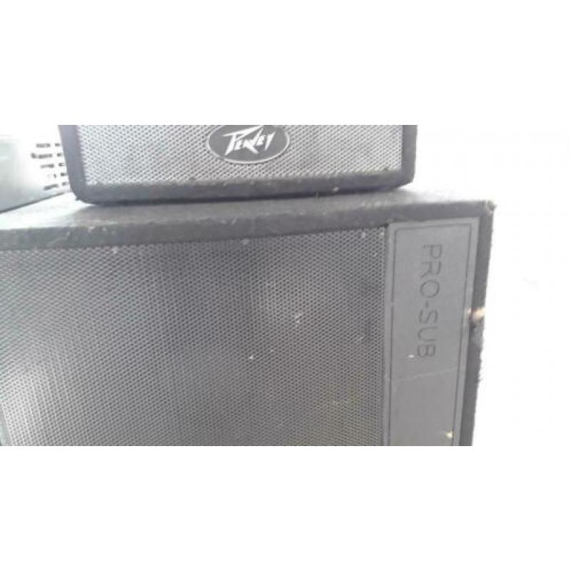Peavey speakerset