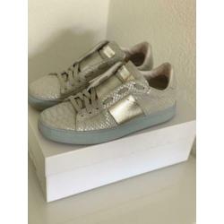 Stokton sneakers maat 39