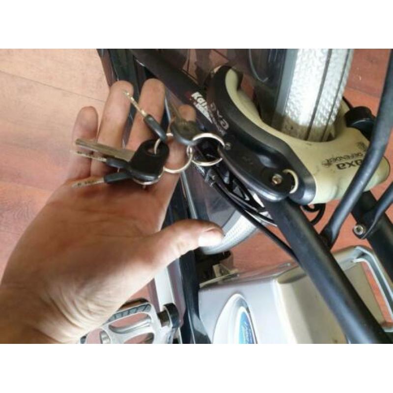 Kalkhoff tasman laag frame