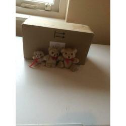 Familie teddybeer: 8 teddyberen