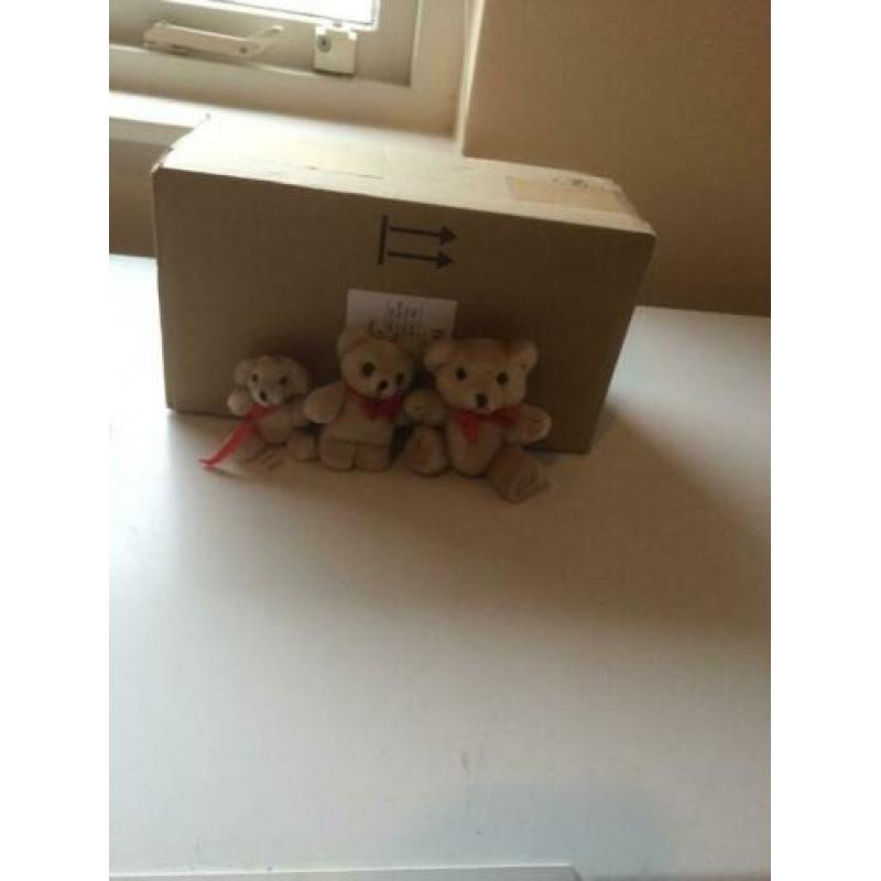 Familie teddybeer: 8 teddyberen