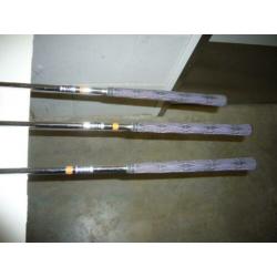 Leuke golf set Lady Sauers