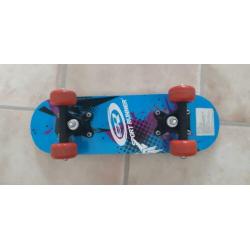 Skate board