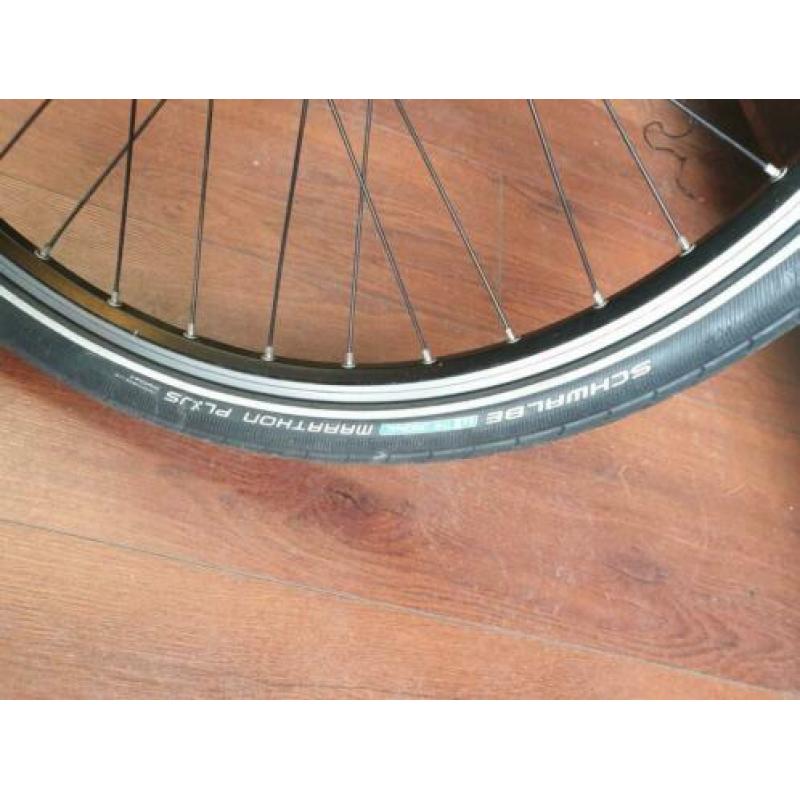 Kalkhoff tasman laag frame