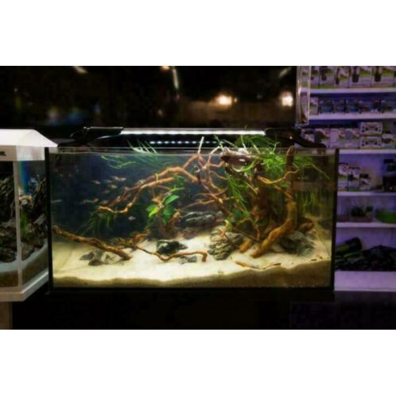 Aquarium, grote keus, de mooiste aquaria, zie onze site!