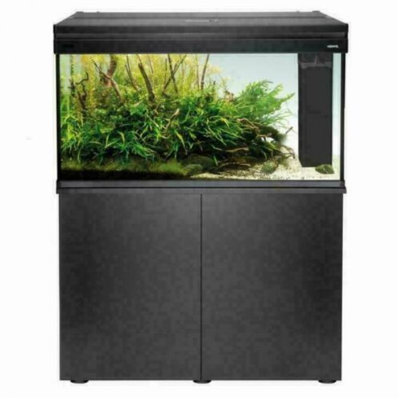 Aquarium, grote keus, de mooiste aquaria, zie onze site!