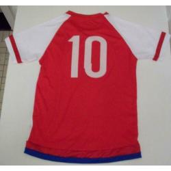 Home voetbalshirt nr 10 Paraguya 2015-16