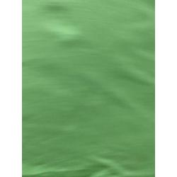 Heren T-shirt Tommy Hilfiger groen maat M