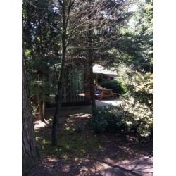 Chalet te koop met eigen grond Beekbergen