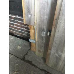 GRATIS schutting poort 190x250 compleet!