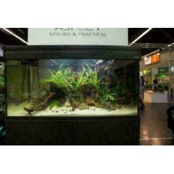 Aquarium, grote keus, de mooiste aquaria, zie onze site!