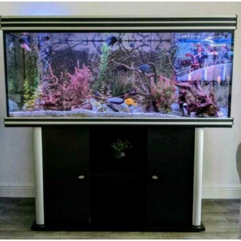 Prachtig Aquarium 100% krasvrij en compleet.
