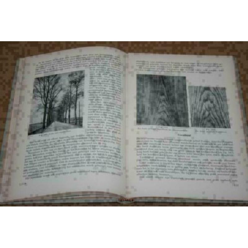 Hout - Leerboek voor de MTS en de praktijk - 1954 !!