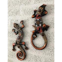 Set salamanders, mooi ingelegd met sierglas-salamander