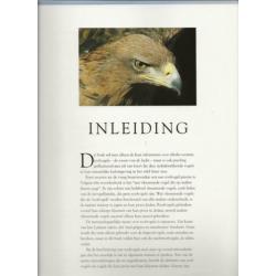 Roofvogels Heersers van Luchtruim Frost, Paul D Opmaak Niels