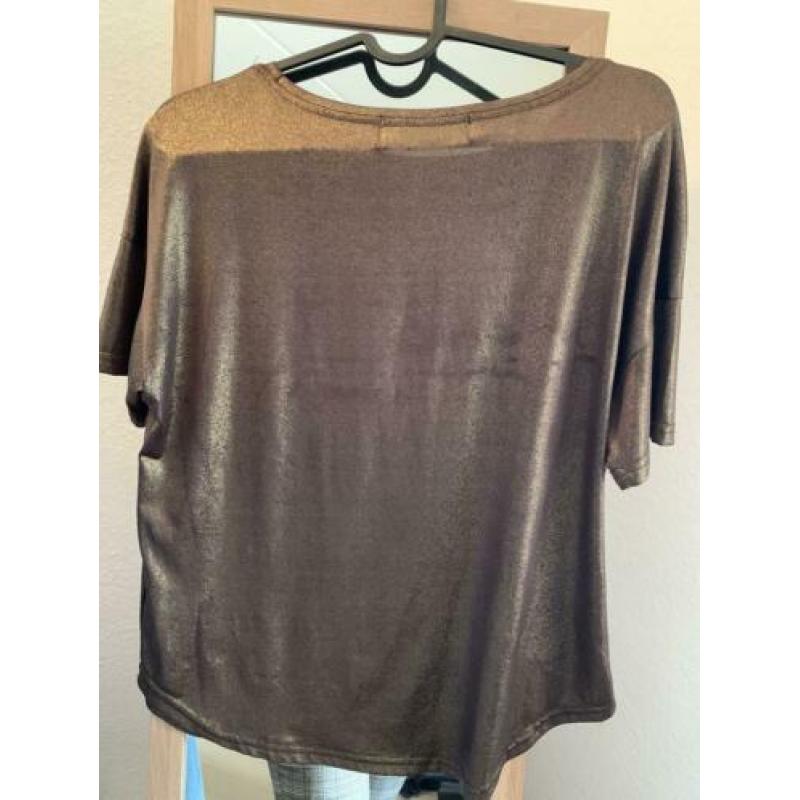Delousion t shirt | maat M