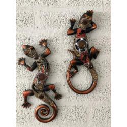 Set salamanders, mooi ingelegd met sierglas-salamander