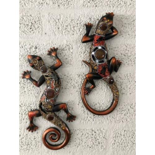 Set salamanders, mooi ingelegd met sierglas-salamander