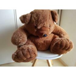 Grote beer.