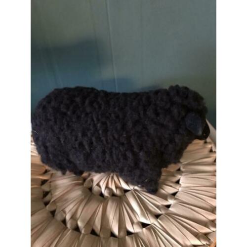 Zwart schaap