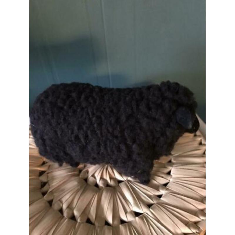 Zwart schaap