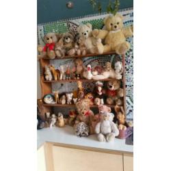 Steiffdieren te koop