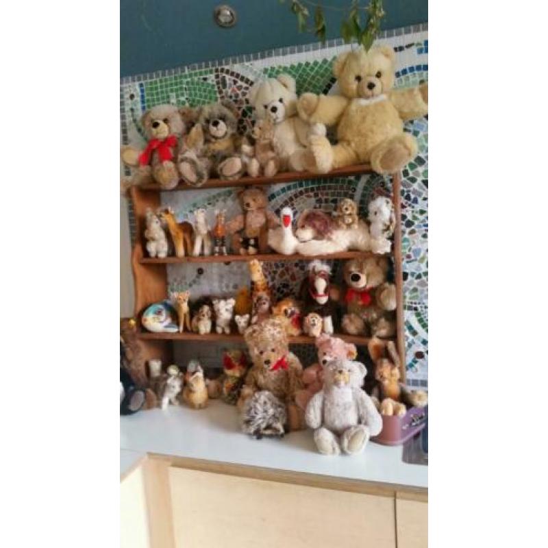 Steiffdieren te koop