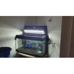 Juwel prio 110 liter