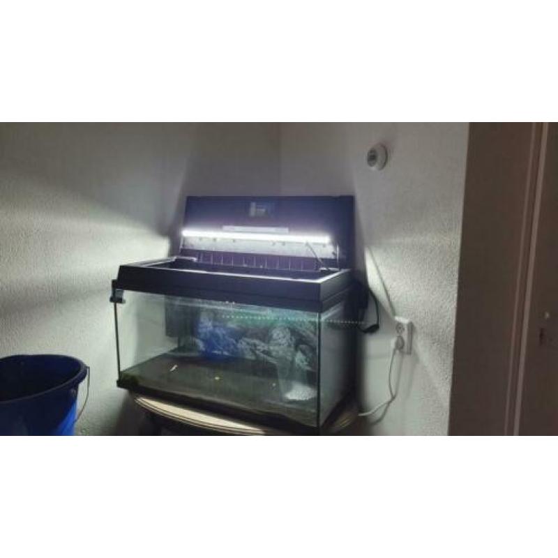 Juwel prio 110 liter