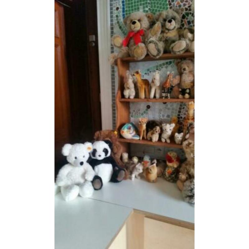 Steiffdieren te koop
