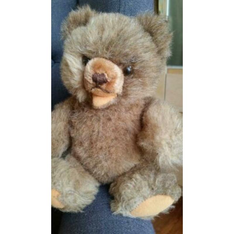 Steiffdieren te koop