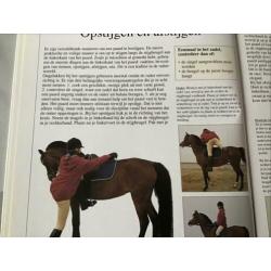 Mijn eerste paardenboek, nieuw