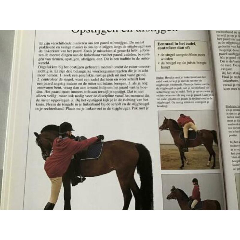 Mijn eerste paardenboek, nieuw