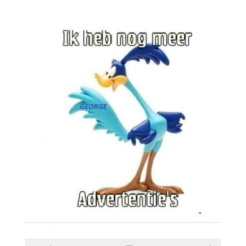 Oude super zilveren oorstekers.