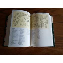 Wolters’ Beeld-woordenboek DUITS en NEDERLANDS